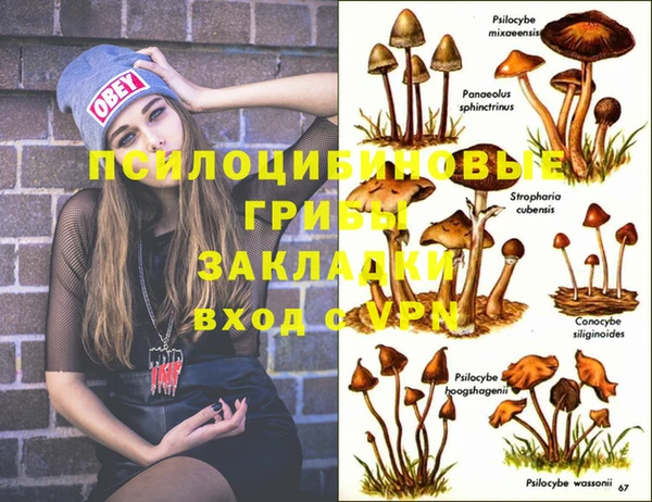 соль ск Белокуриха