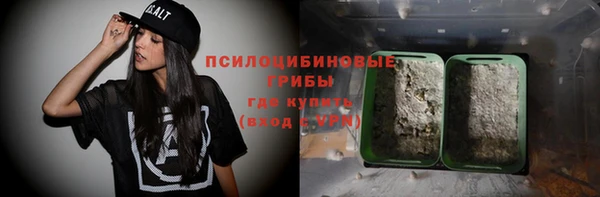 прущие крисы Белоозёрский