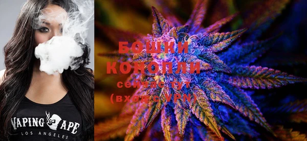 прущие крисы Белоозёрский