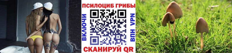 Псилоцибиновые грибы MAGIC MUSHROOMS  OMG ссылка  Волгоград  купить наркоту 